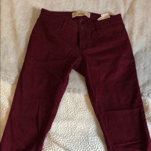 Burgundy Hollister Pants